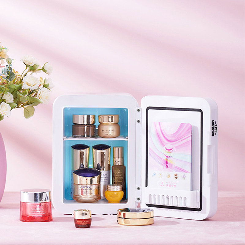 4L Mini-Make-up-Kühlschrank mi – Smart Home Retrofit Bewertung und Preis