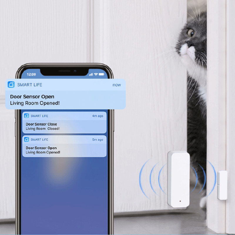 Tuya WiFi Zigbee Tür- und Fens – Smart Home Remote Bewertung und Preis