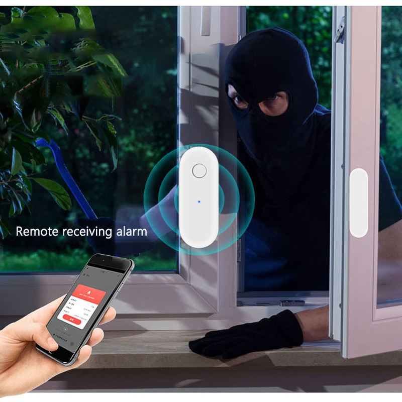 Ferngesteuerter Alarm-Empfänge – Door Window Sensor Bewertung und Preis