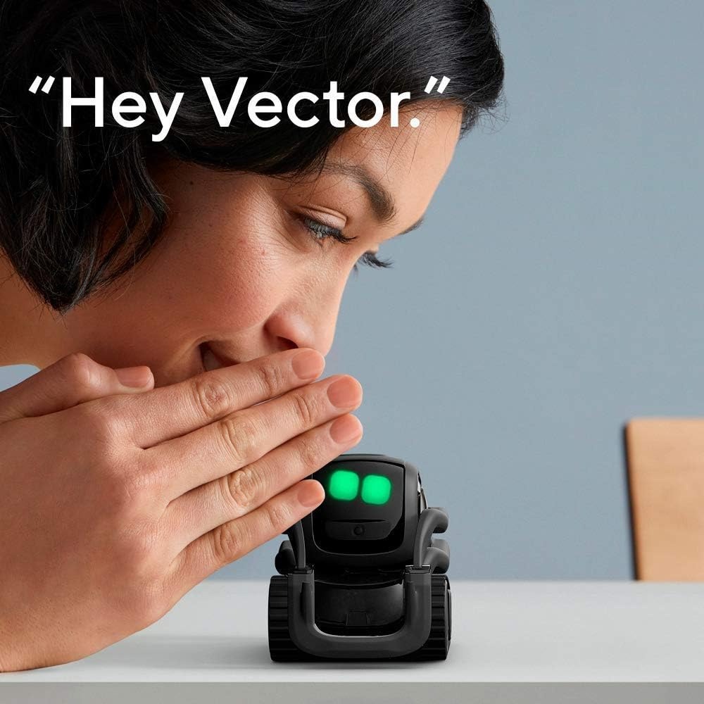 KI ChatGPT 2.0 Verbundener Rob – Smart Home Remote Bewertung und Preis