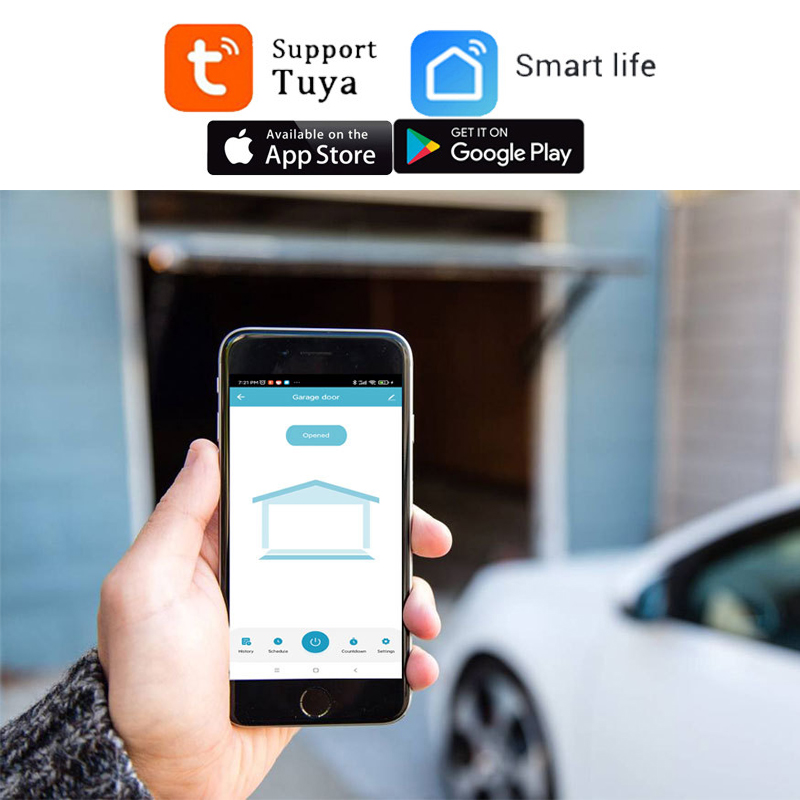 TUYA WIFI 2,4G Smart Garage Tü – Smart Garage Door Opener Bewertung und Preis