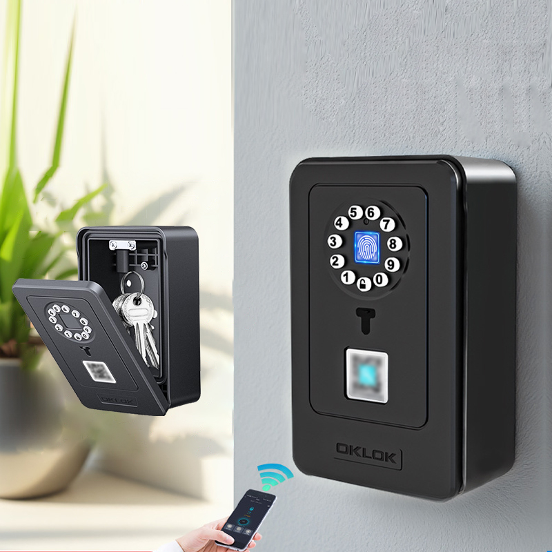 Intelligentes Vorhängeschloss  – Smart Door Lock Bewertung und Preis