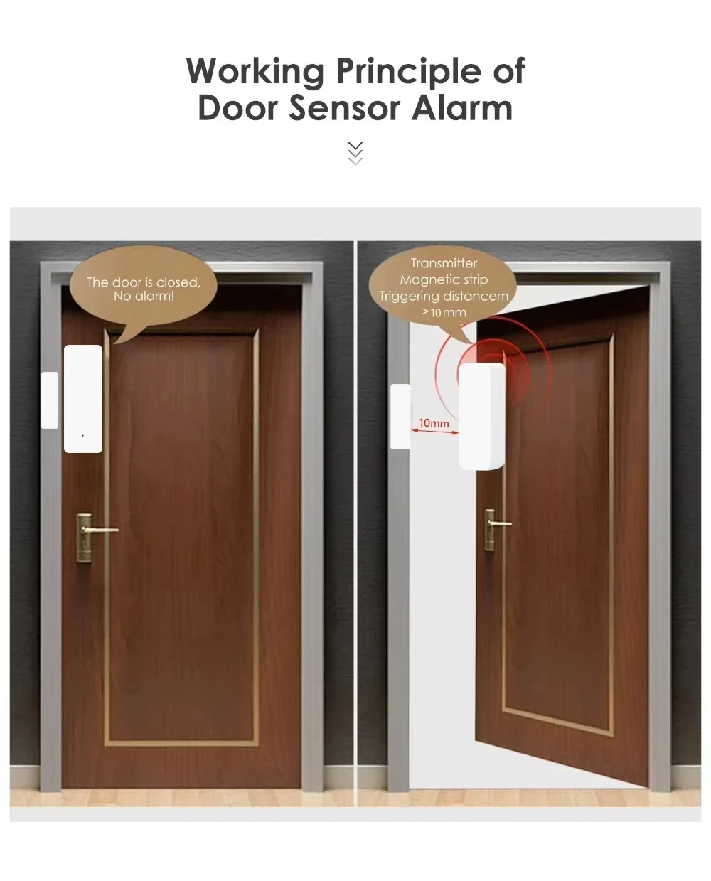 Tuya Zigbee/WiFi Magnetische T – Door Window Sensor Bewertung und Preis